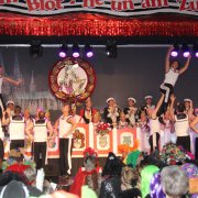 Kölner Narrenzunft (13.01.13)